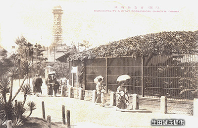 昭和戦前期の「大阪市立動物園」