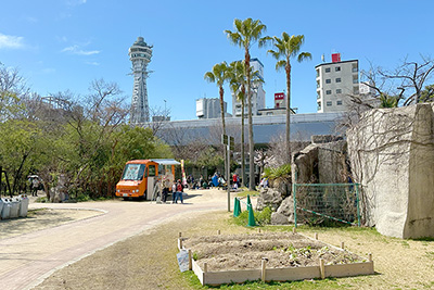 現在の「大阪市天王寺動物園」