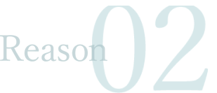 reason02