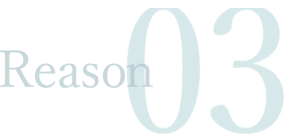 reason03