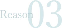 reason03